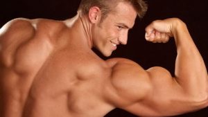 meilleur exercice pour les biceps